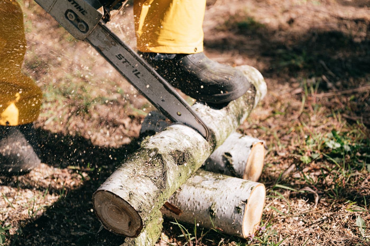 Tree service crew working in Oregon
